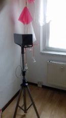 Zufallsbild