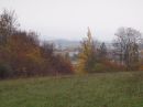 Zufallsbild