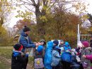 Zufallsbild